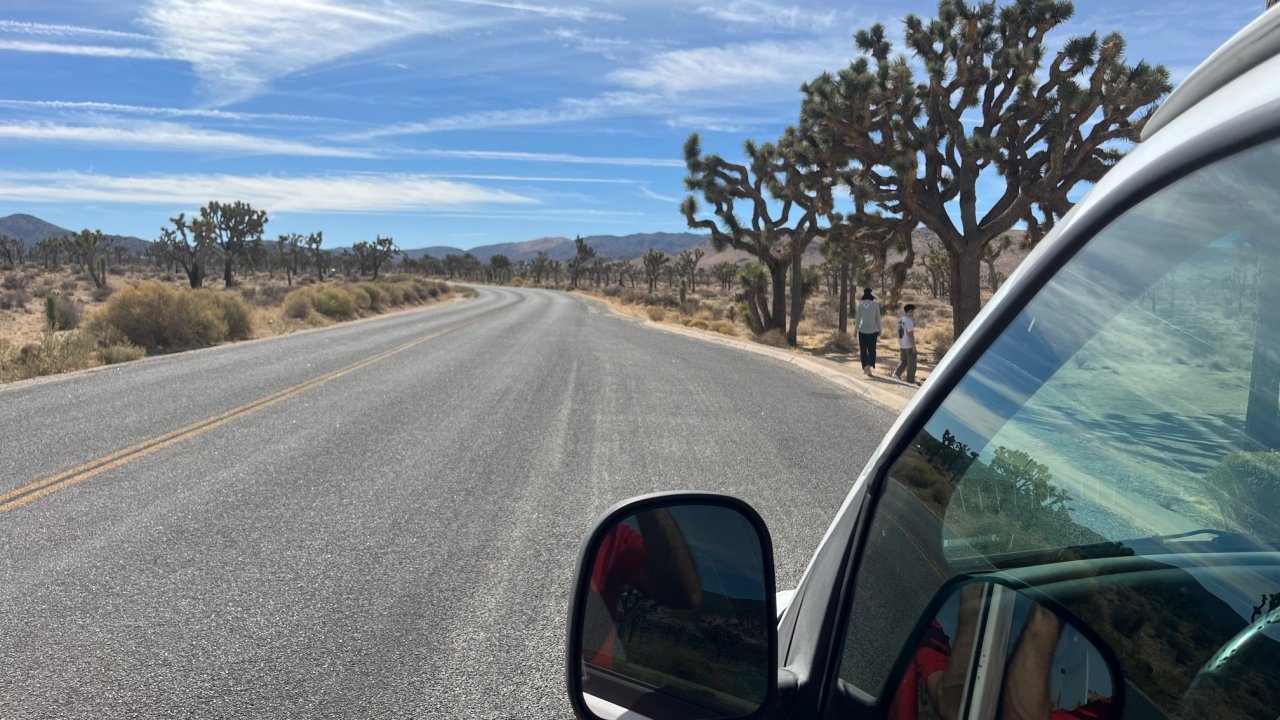 Joshua Tree National Park Private Sightseeing & Hiking Tour