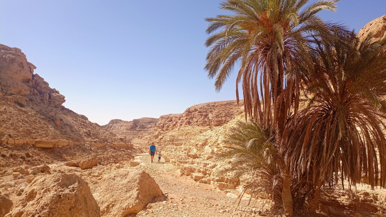 Two hikers walk along a dry, rocky wadi bed, overshadowed by mature date palm trees, deep within the rugged canyon landscape of the Dahar region in southern Tunisia.