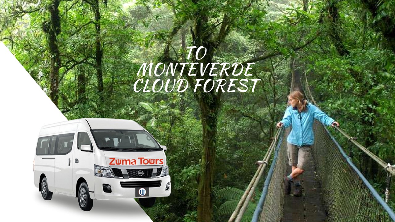 Transportation from Tamarindo Beach to Monteverde