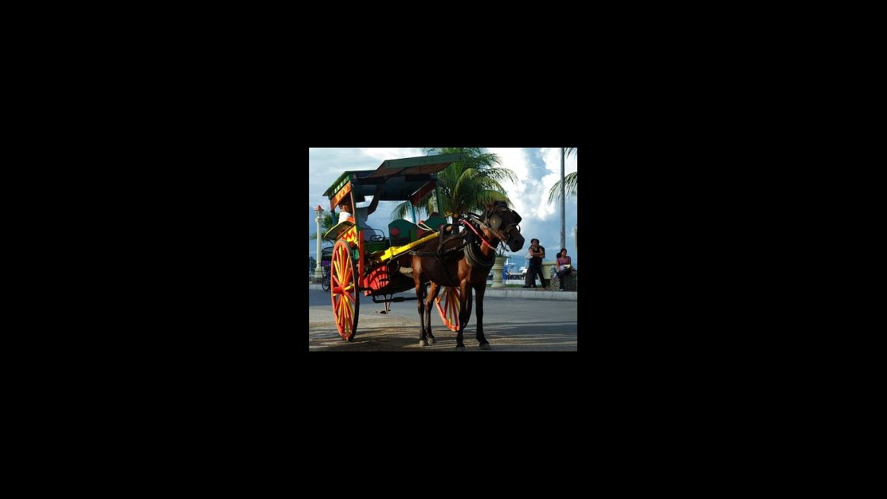 Calesa in Cebu