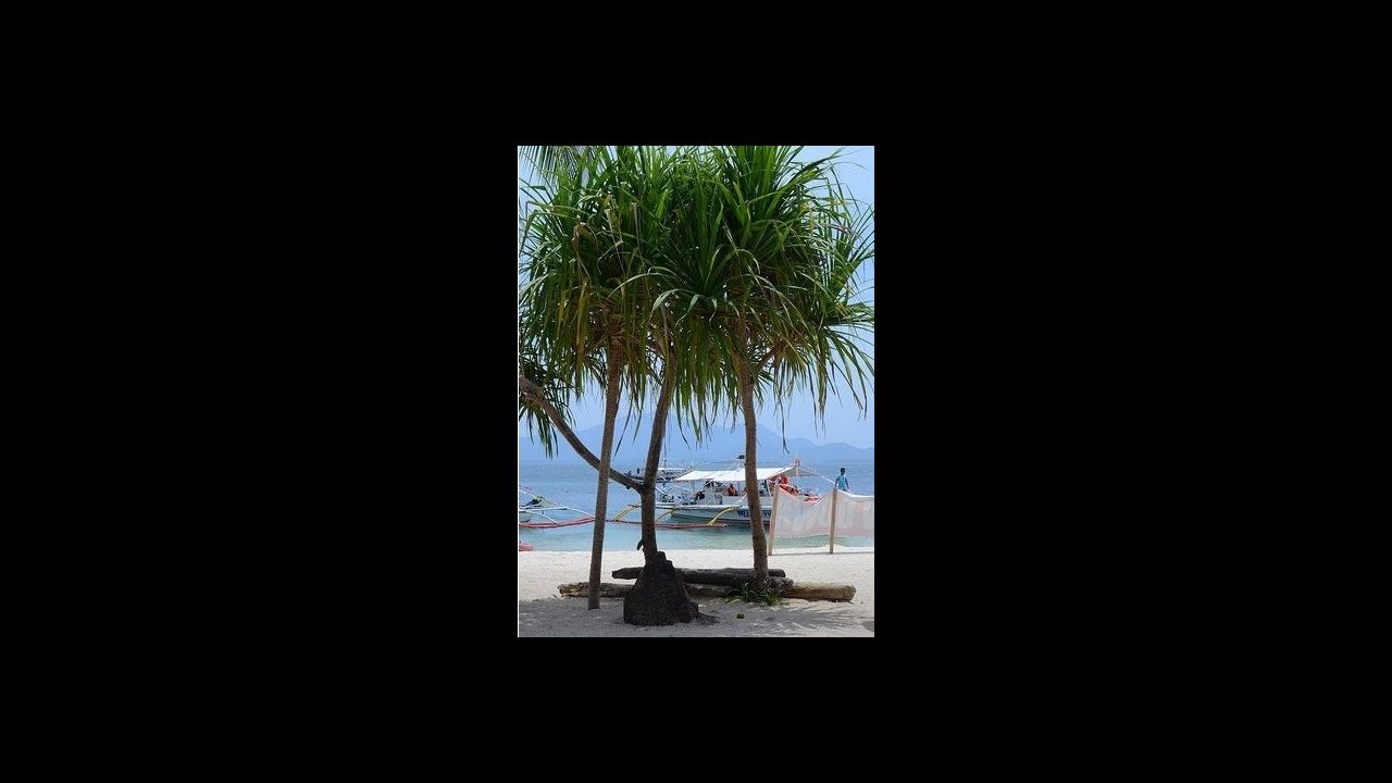 Exploring various tropical islands with white sand beach