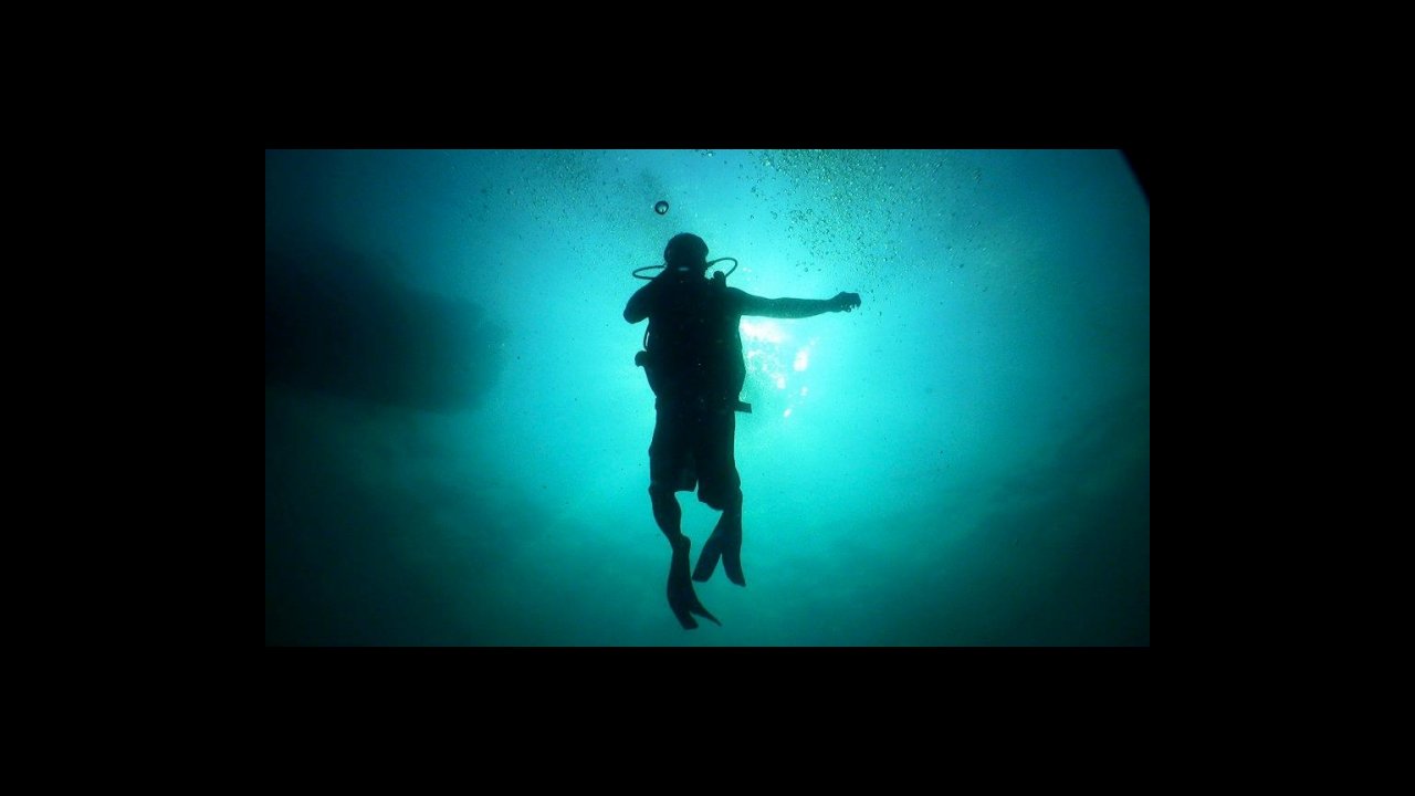 scuba diving puerto vallarta