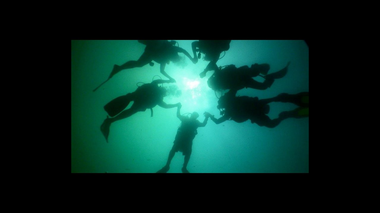 scuba diving puerto vallarta