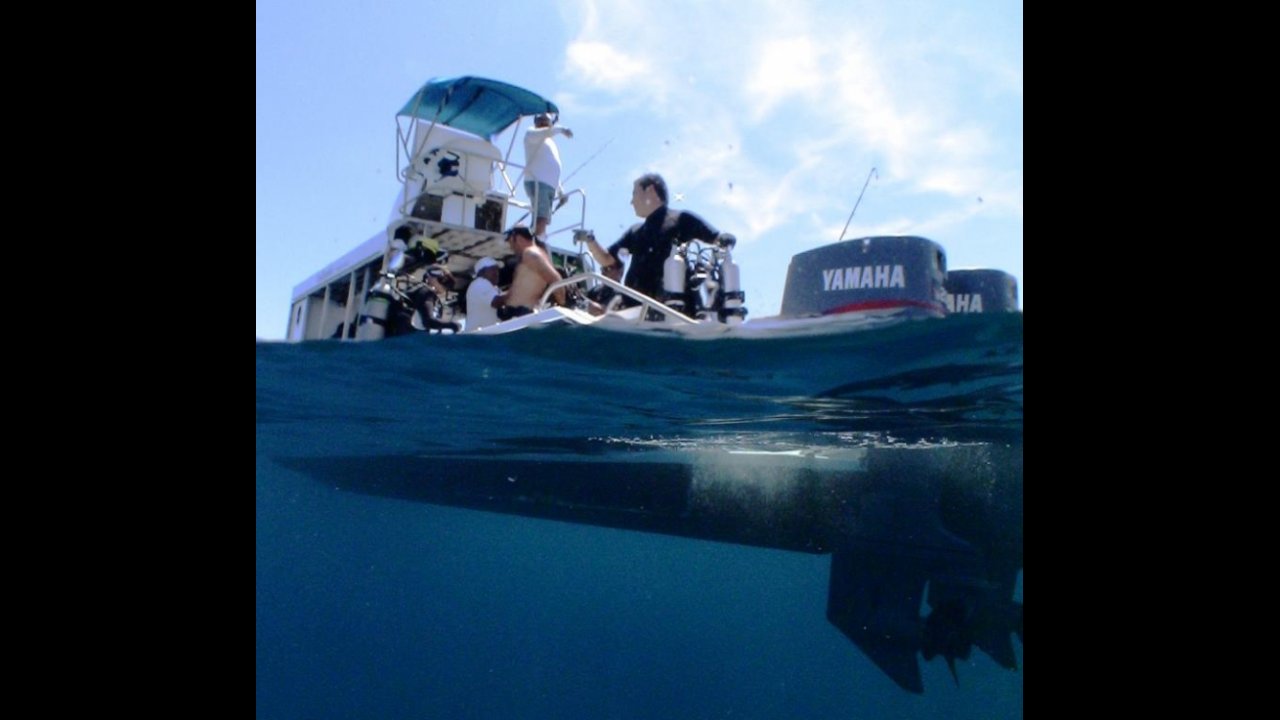 scuba diving puerto vallarta