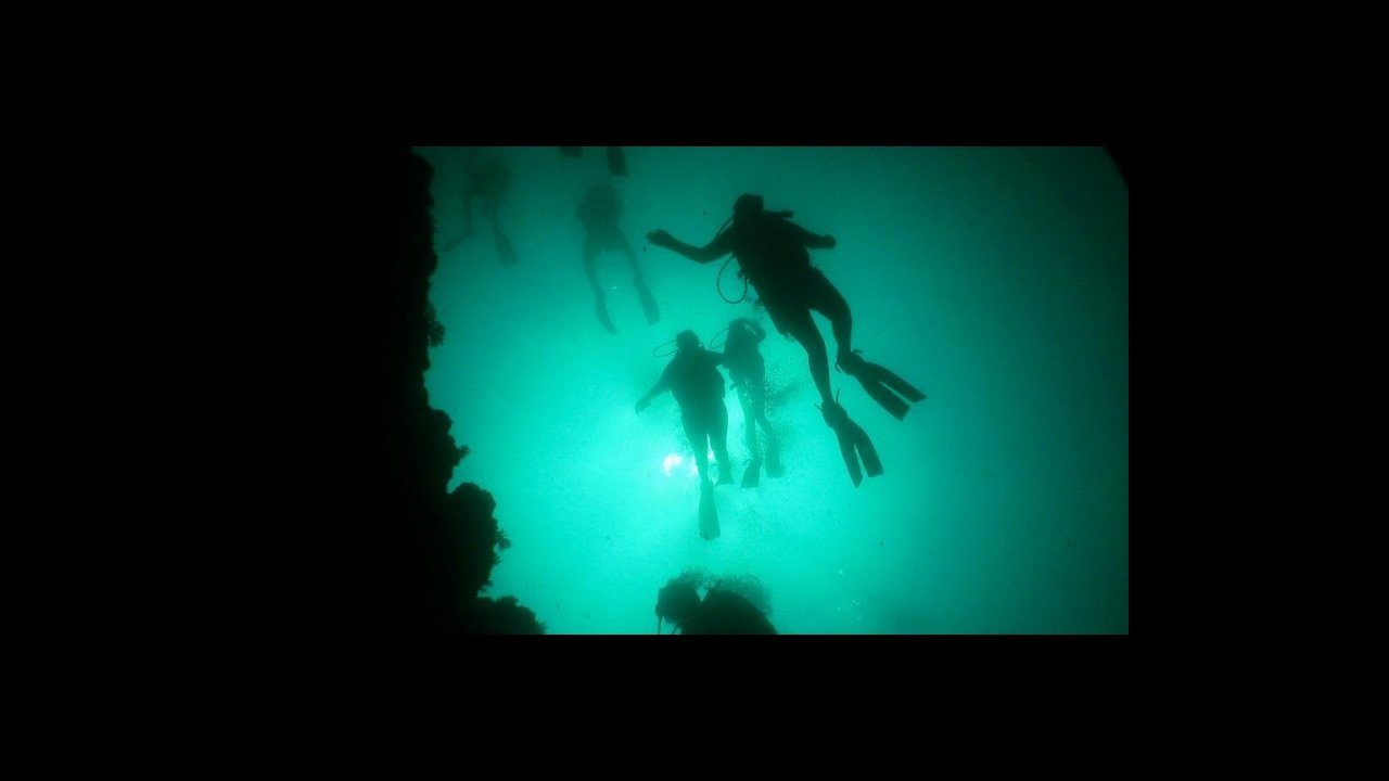 scuba diving puerto vallarta