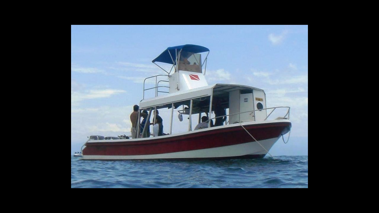 scuba diving puerto vallarta