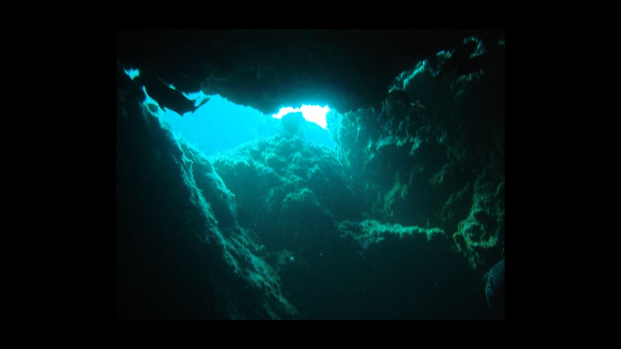 scuba diving puerto vallarta