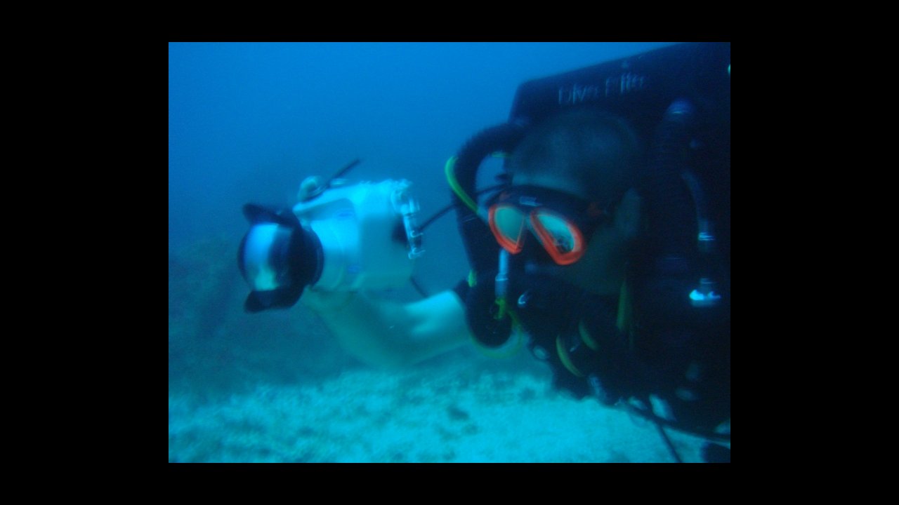 scuba diving puerto vallarta