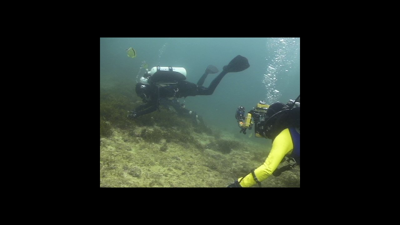 scuba diving puerto vallarta