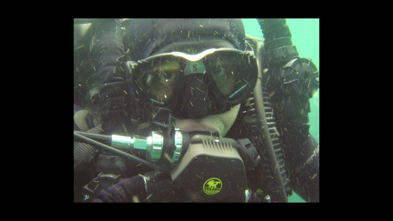 scuba diving puerto vallarta
