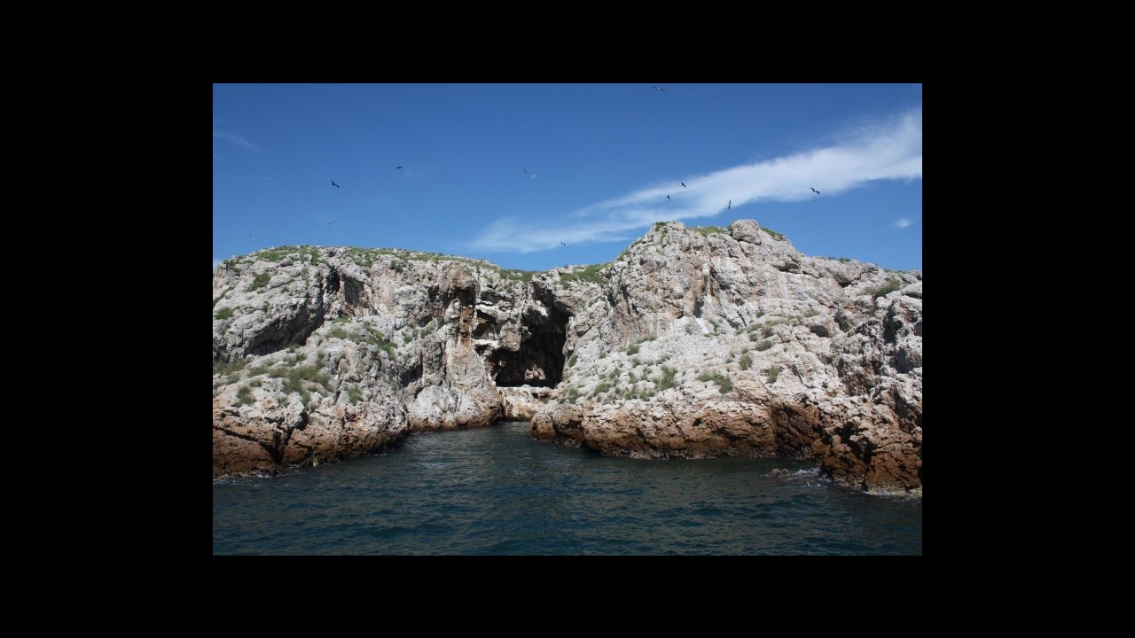 scuba diving puerto vallarta