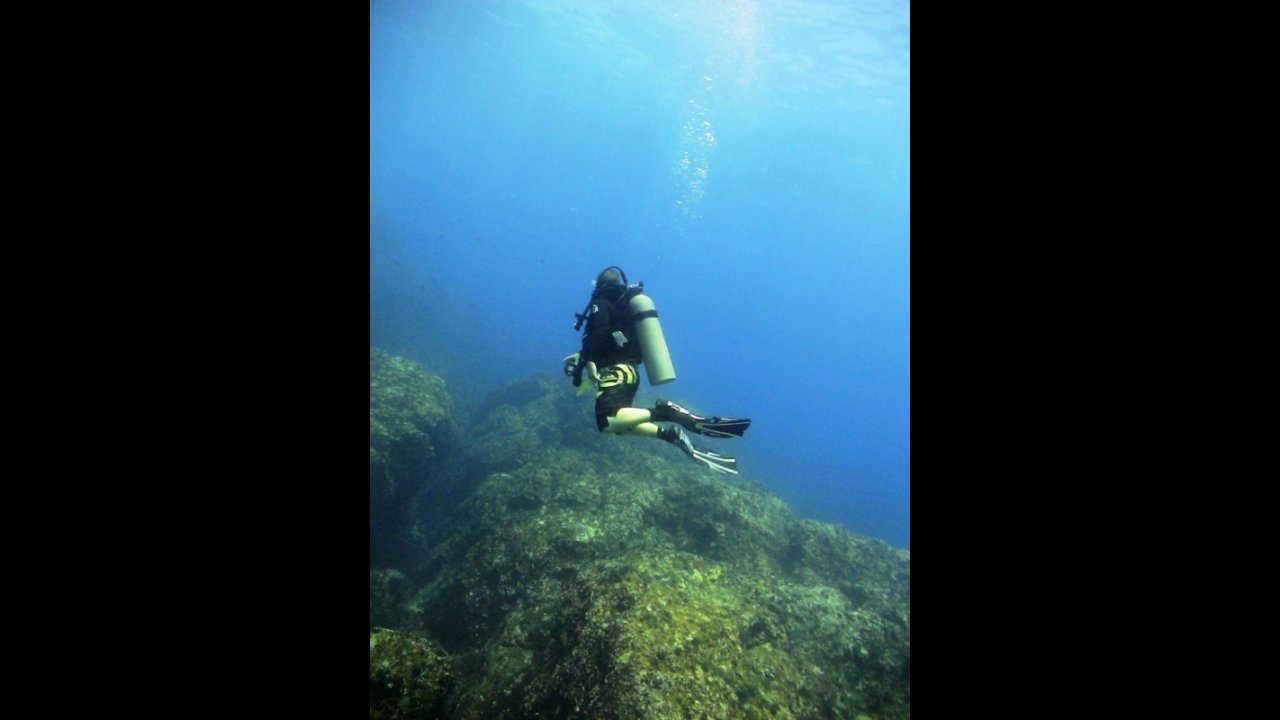 scuba diving puerto vallarta