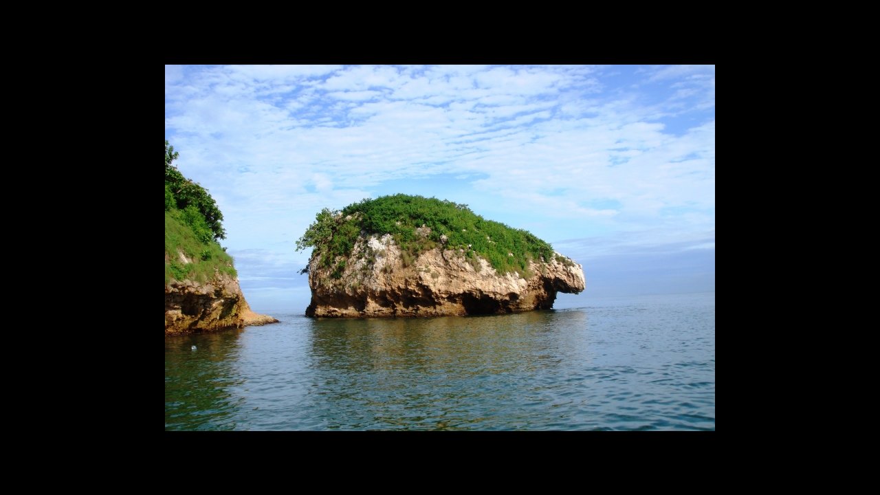 scuba diving puerto vallarta