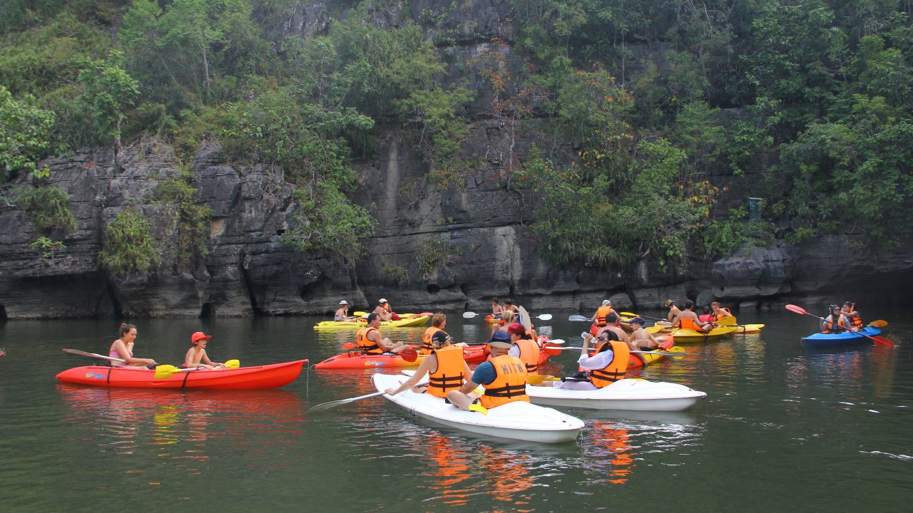 An eco adventure kayaking in the mangrove ecosystem