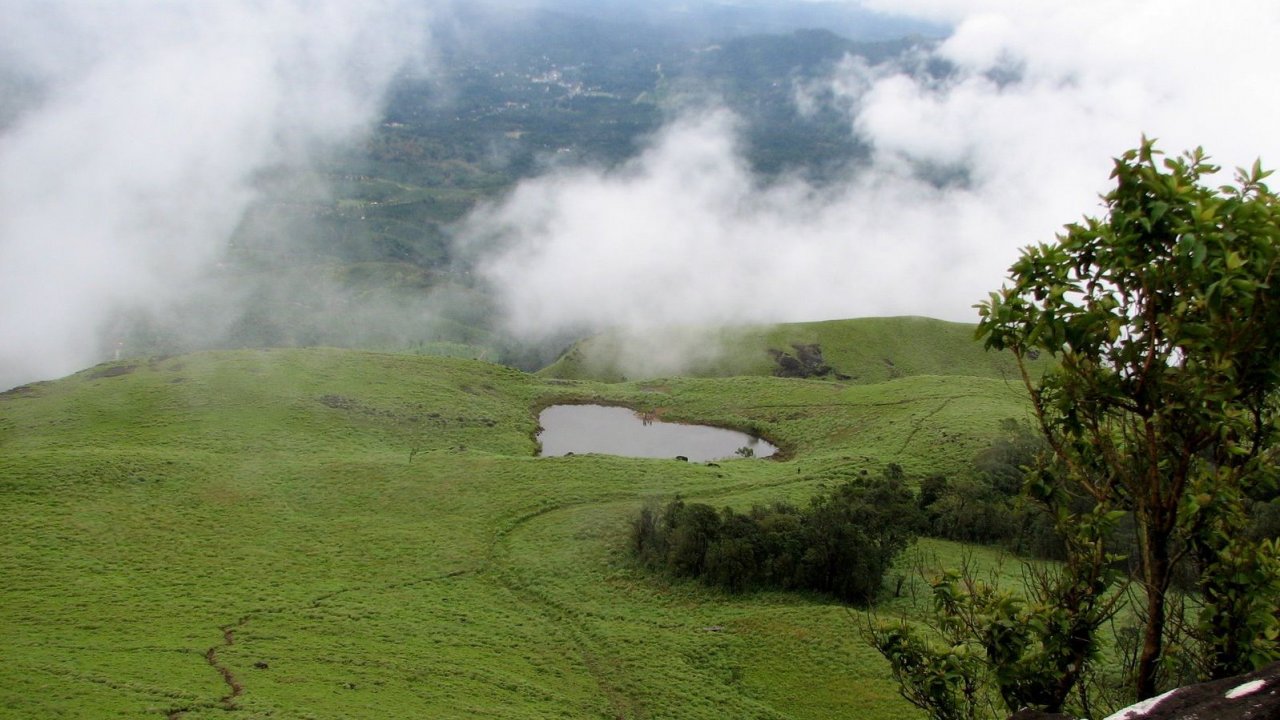 Wayanad Packages